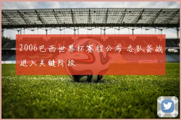 2006巴西世界杯赛程公布 各队备战进入关键阶段